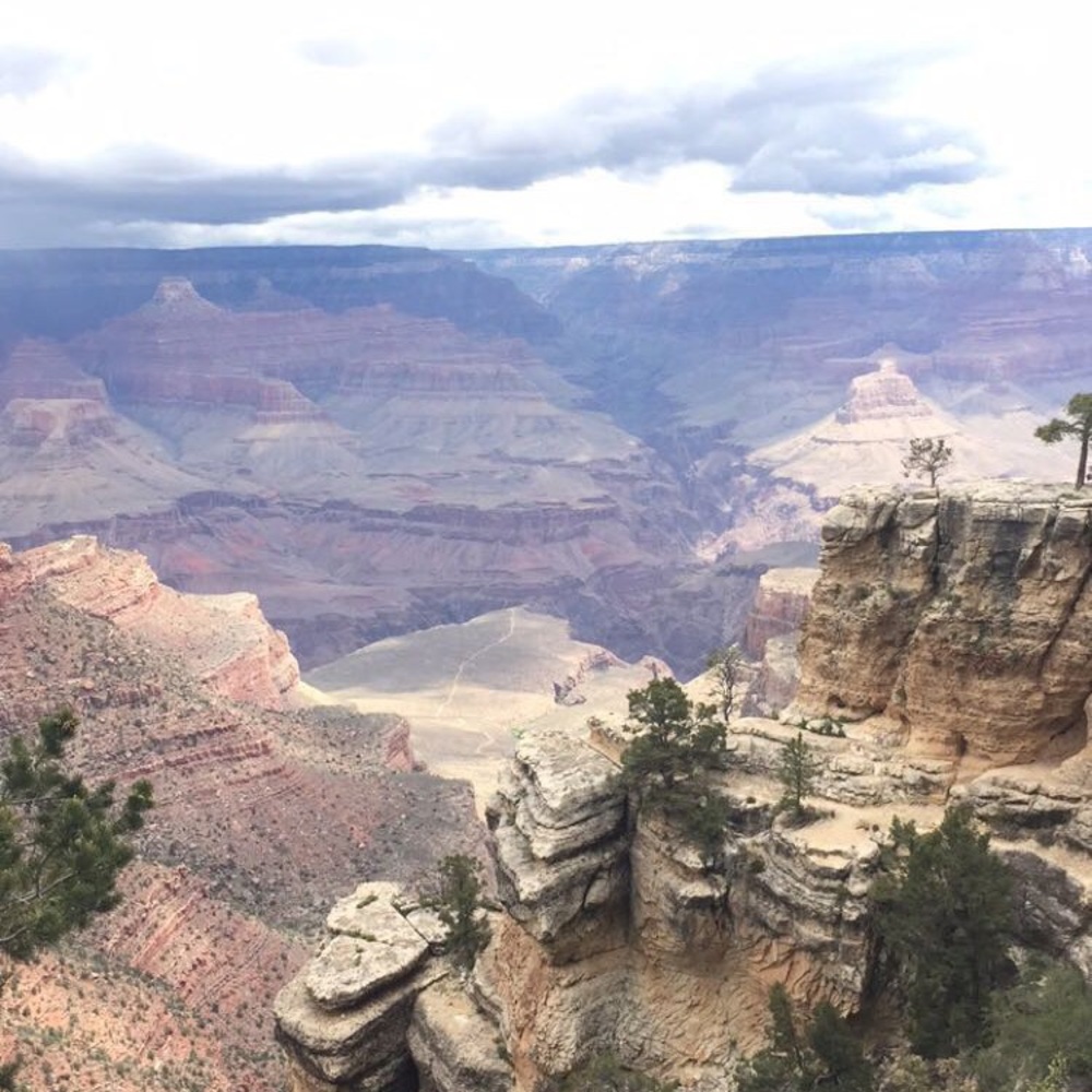 Meet your Posher, Adelaide